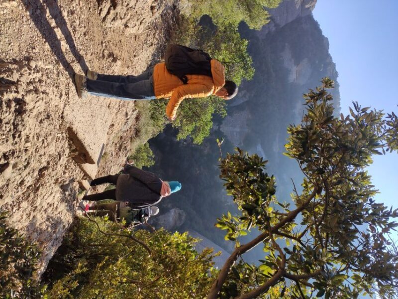 From Barcelona: Montserrat Mountain Hike and Monastery Tour - The Experience: What to Expect on This Tour