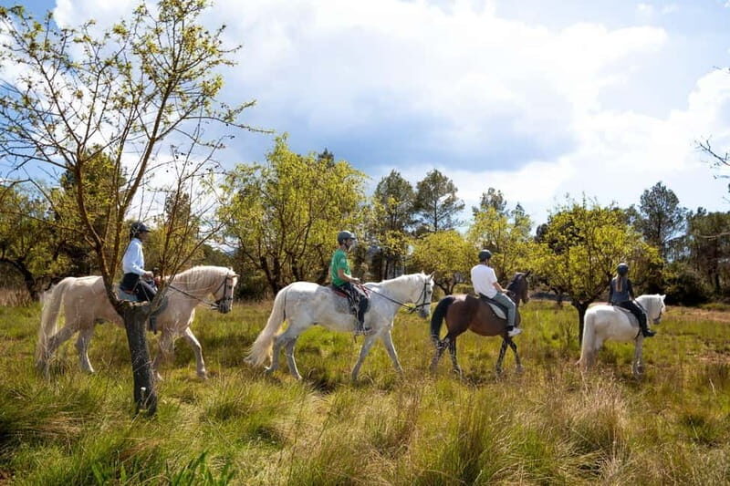 From Barcelona: Montserrat Walking and Horseback Riding Tour - Key Points