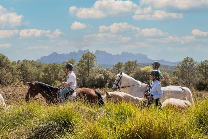 From Barcelona: Montserrat Walking and Horseback Riding Tour - Final Thoughts