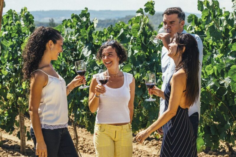From Barcelona: Penedés Vineyards Tour by 4WD w/Wine & Cava - Key Points