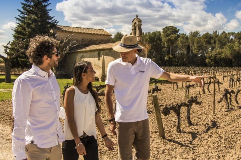 From Barcelona: Penedés Vineyards Tour by 4WD w/Wine & Cava - The Second Winery: Pere Ventura