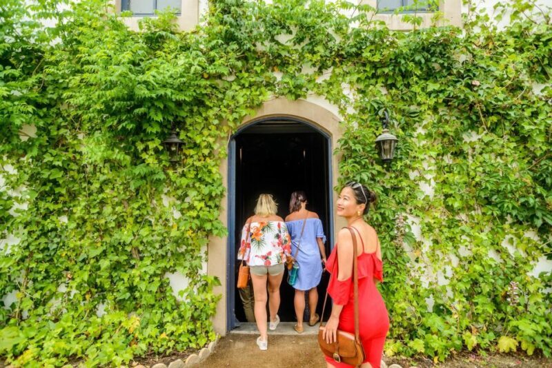 From Barcelona: Penedés Vineyards Tour by 4WD w/Wine & Cava - Final Thoughts