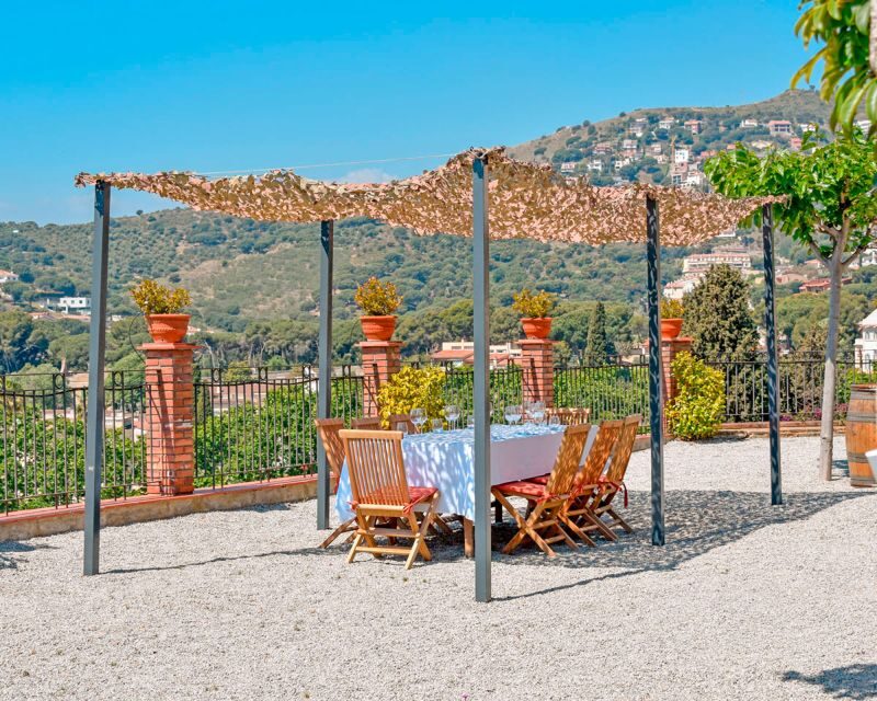 From Barcelona: Private Alella Wine Tour by Electric Bike - Key Points