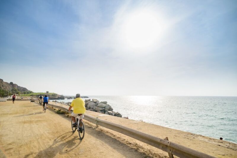 From Barcelona: Private Alella Wine Tour by Electric Bike - An In-depth Look at the Experience