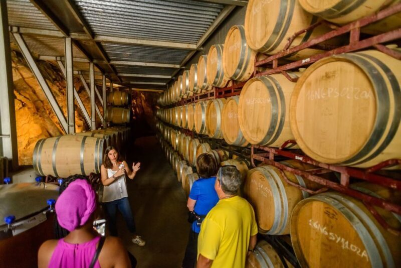 From Barcelona: Private Alella Wine Tour by Electric Bike - FAQ