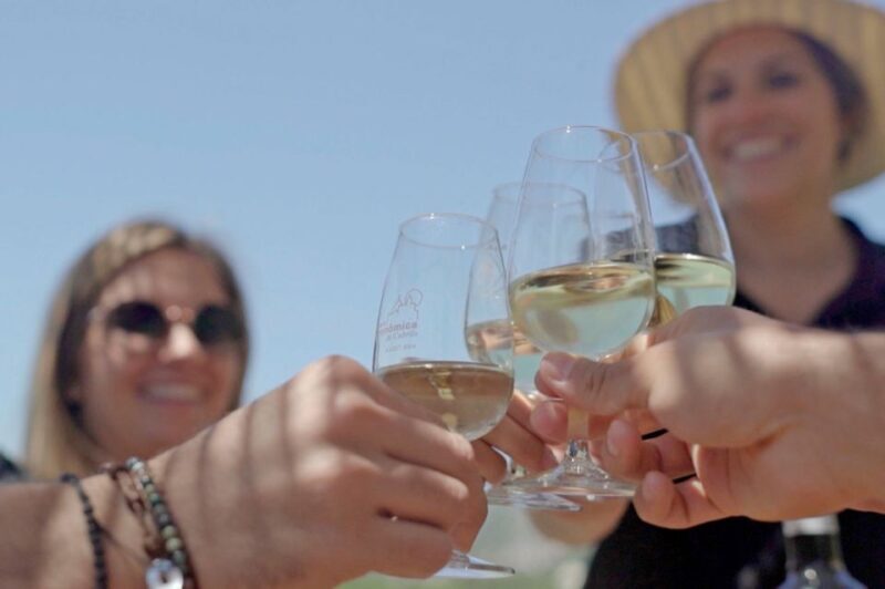 From Barcelona: Private Alella Wine Tour by Electric Bike - Final Thoughts