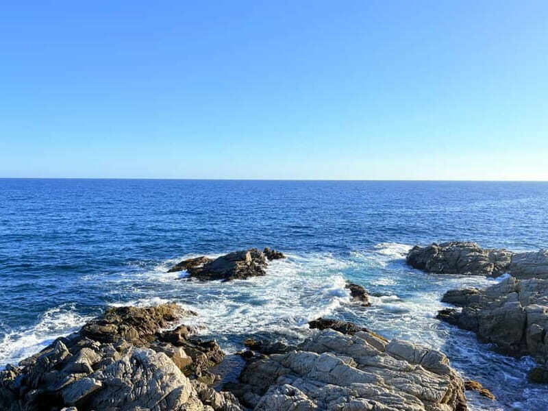 From Barcelona: Private Costa Brava Guided Tour - A Deep Dive into the Experience