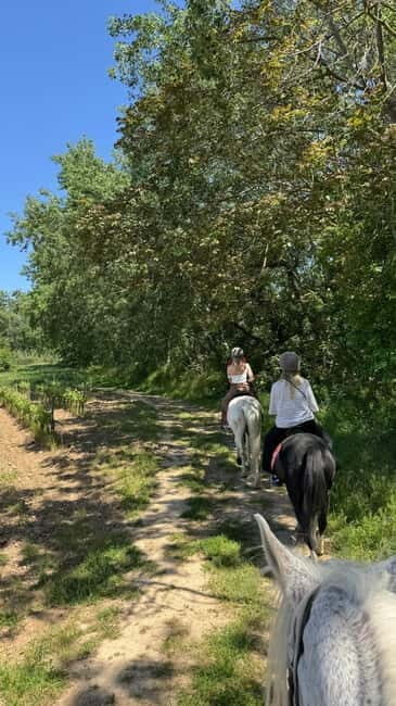 From Barcelona: PRIVATE Horseback Ride + Tapas + Picnic - Key Points