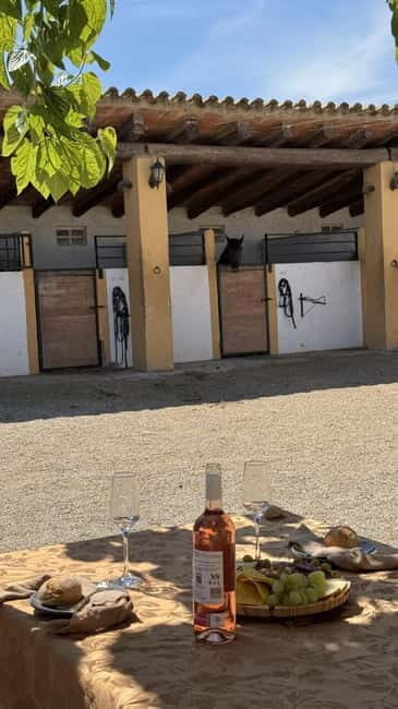 From Barcelona: PRIVATE Horseback Ride + Tapas + Picnic - The True Value of this Experience