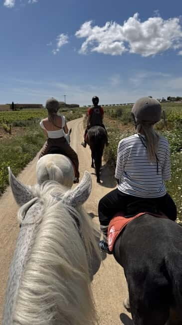 From Barcelona: PRIVATE Horseback Ride + Tapas + Picnic - Frequently Asked Questions