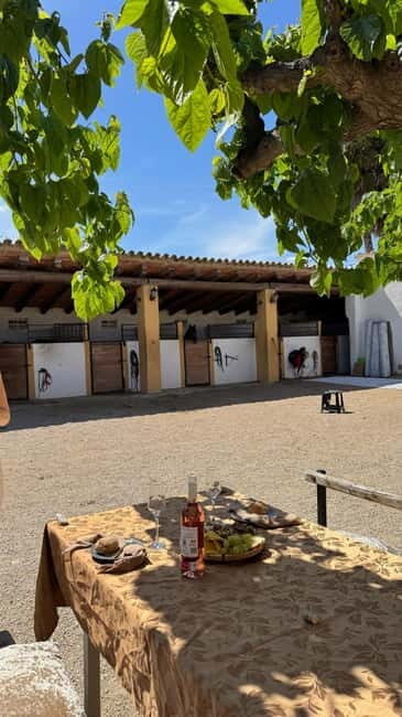 From Barcelona: PRIVATE Horseback Ride + Tapas + Picnic - Final Thoughts: Who Should Book This Tour?