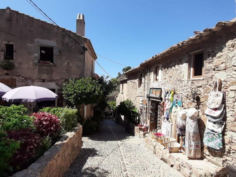 From Barcelona: Tossa de Mar Day Tour with Beach Time - An In-Depth Look at the Tossa de Mar Day Tour