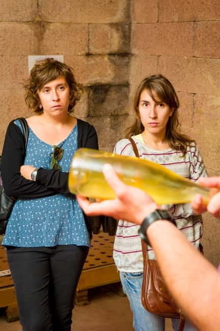 From Barcelona:Penedès Wine&Cava half-day trip with Workshop - The Sum Up