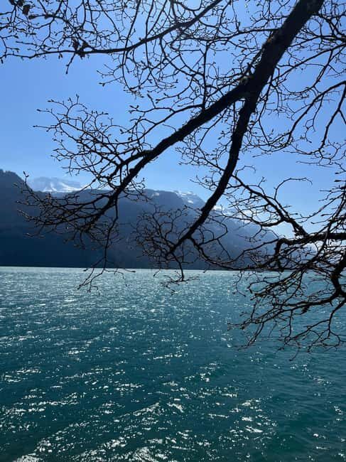 From Basel: Alps, Waterfalls and Lakes Private Car Tour - FAQ