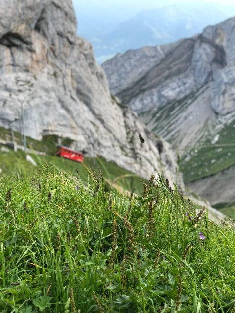 From Basel: Mt. Pilatus and Lake Lucerne Private Tour - An Honest Breakdown of the Experience
