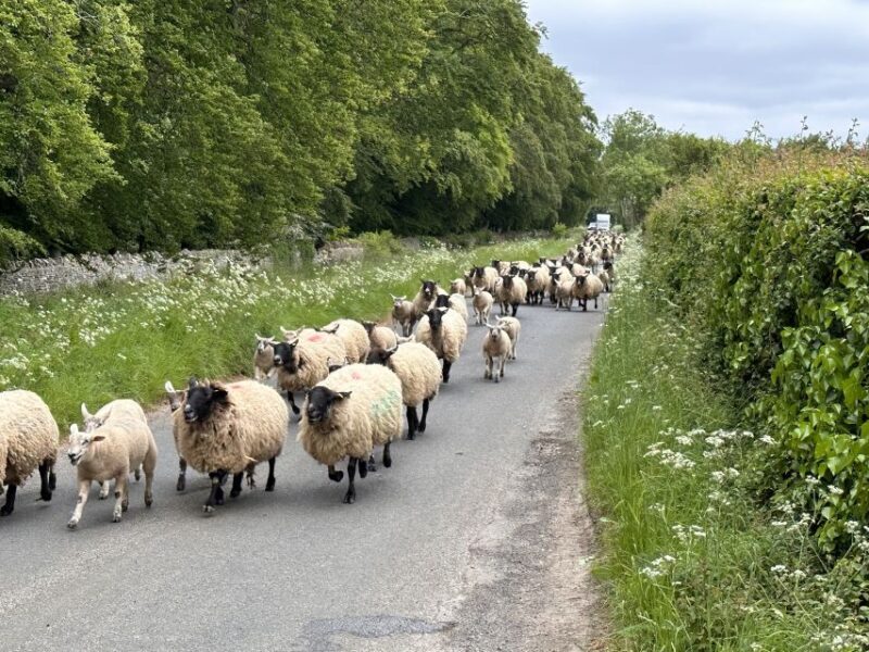 From Bath: Cotswolds Private Day Tour with Pickup - Key Points