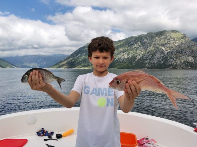 From Bay of Kotor: Blue Cave Private Speedboat Tour - Final Thoughts