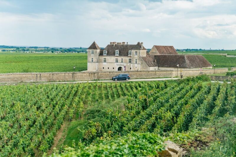 From Beaune: Burgundy Day Trip with 14 Wine Tastings - Scenic Drive & Iconic Stops: Romanée-Conti and Clos de Vougeot