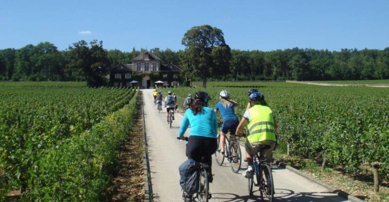 From Beaune: Full-Day Bicycle and Wine Tour in Burgundy - Why This Tour Excels