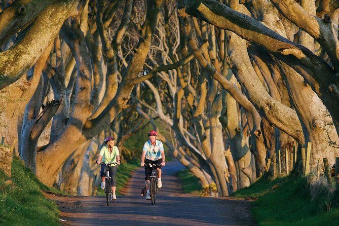From Belfast-Giants Causeway, Dunluce Castle and Dark Hedges tour - Additional Considerations
