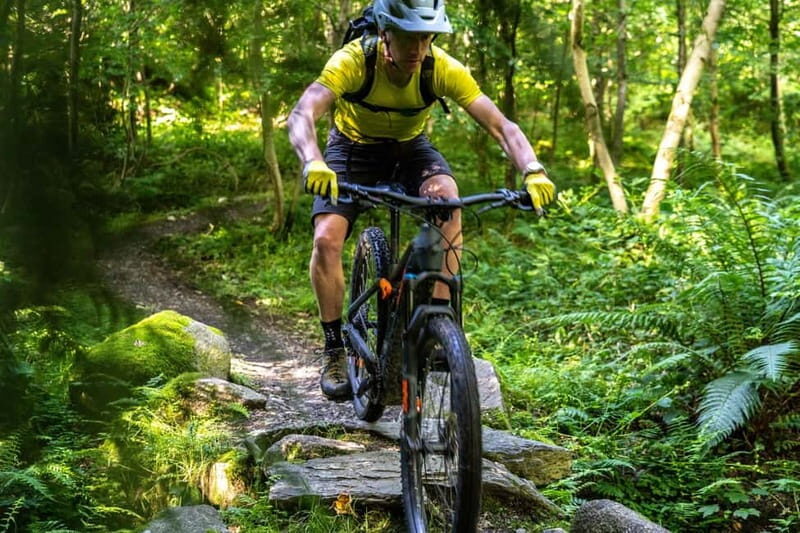 From Belfast: Mountain Bike Experience - Key Points