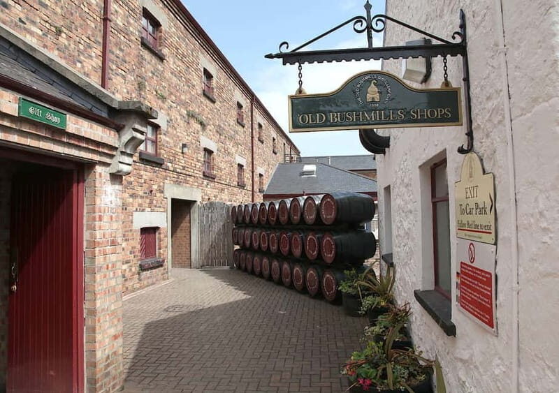 From Belfast: Private Giants Causeway Coastal Tour - Who Is This Tour Best For?