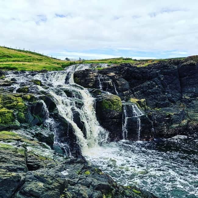 From Belfast: Private Tour of the Glens & Giants Causeway - Key Points