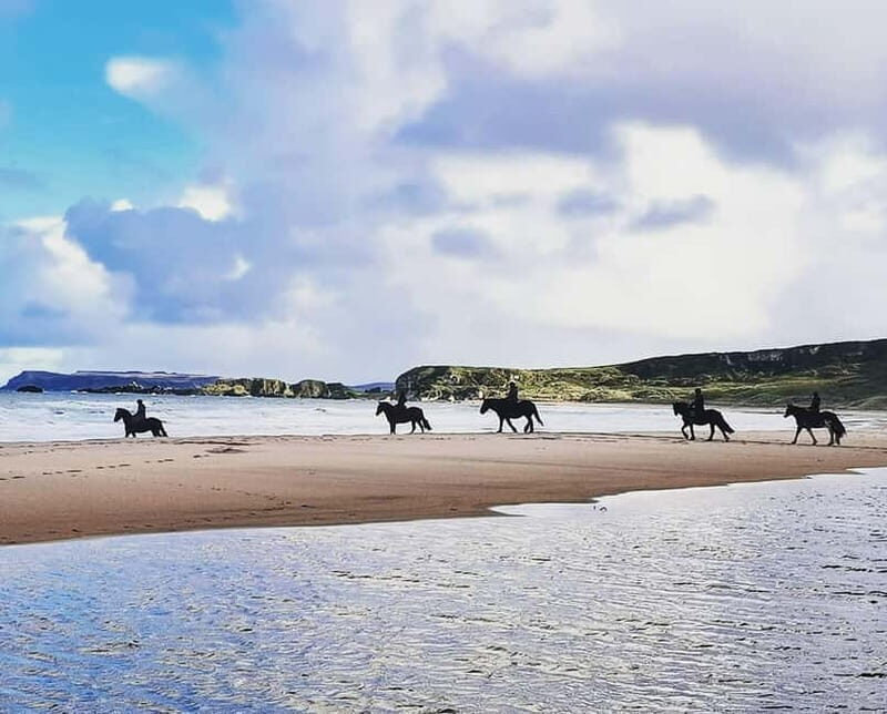 From Belfast: Private Tour of the Glens & Giants Causeway - Who Is This Tour Best For?