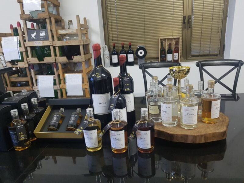 From Belgrade: Danube Day Trip with Wine and Brandy Tasting - Authentic Reviews and Insights