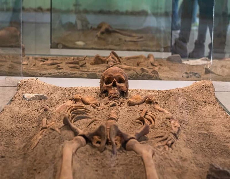 From Belgrade: Danube Tour and Iron Gate National Park - Cost & Value