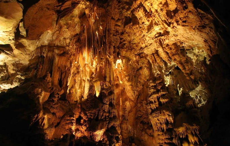 From Belgrade: Manasija Monastery and Resava Cave Tour - The Full Itinerary Breakdown