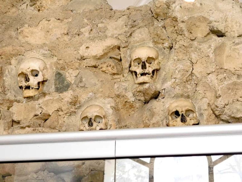 From Belgrade: Ni and Devil's Town Private Day Tour - An In-Depth Look at the Tour Experience