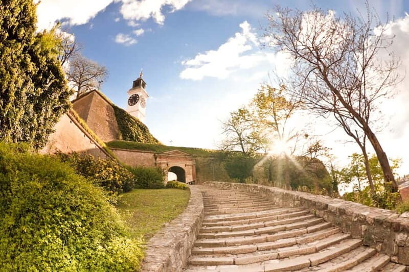 From Belgrade: Novi Sad and Sremski Karlovci Day Trip - A Detailed Look at the Tour Experience