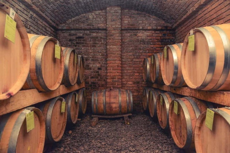 From Belgrade: Novi Sad and Sremski Karlovci Day Trip - Who Is This Tour Best For?