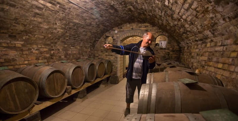 From Belgrade: Novi Sad and Sremski Karlovci Tour - Who Will Love This Tour?