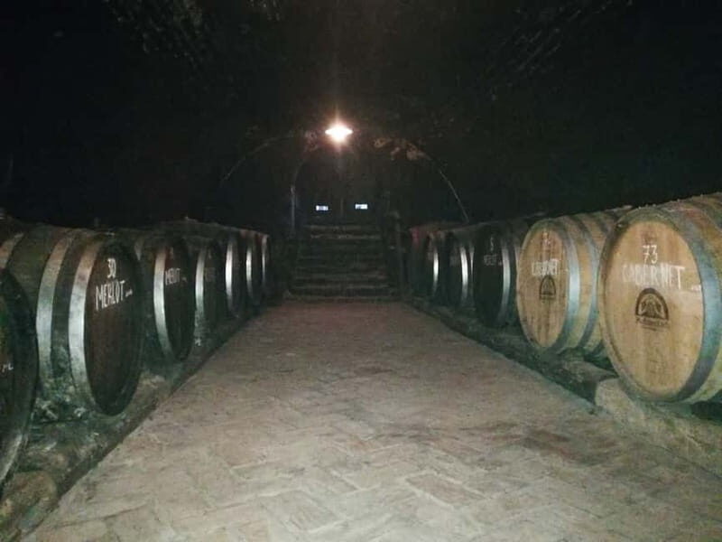 From Belgrade: Novi Sad & Fruska gora & winery and monastery - Final Thoughts