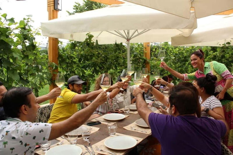 From Belgrade or Novi Sad: Private Wine Tour in Fruska Gora - An In-Depth Look at the Fruska Gora Wine Tour Experience