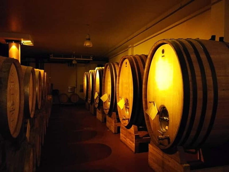 From Belgrade: Subotica and Palic Full-Day Trip with winery - Key Points