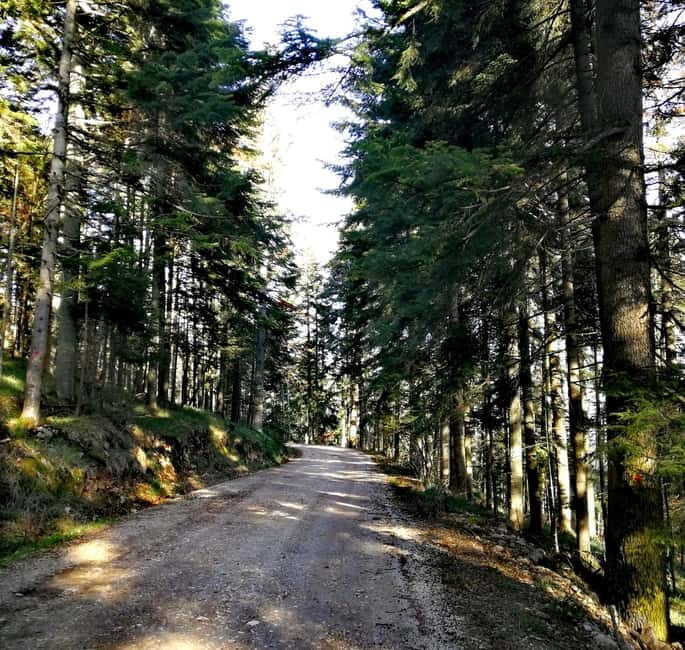 From Belgrade: Tara NP & Drina river & House on the Drina - Who Is This Tour Best For?