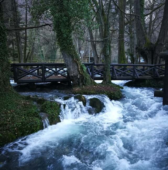 From Belgrade: Tara NP & Drina river & House on the Drina - FAQ