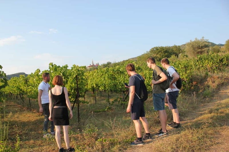 From Berat: Guided Winery Tour with Transfers and Tastings - The Real Value of This Experience