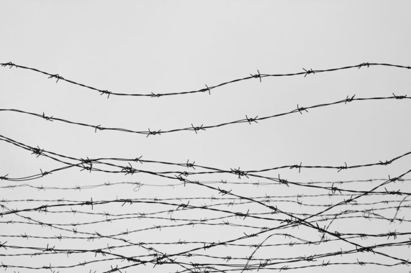 From Berlin: Sachsenhausen Concentration Camp Guided Tour - Who Will Enjoy This Tour?