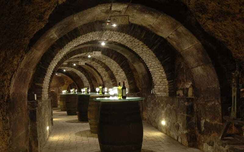 From Bilbao: La Rioja Wineries Day Trip with Wine Tastings - The Full Experience: What You Can Expect