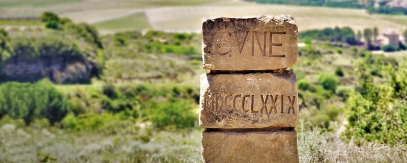 From Bilbao: La Rioja Wineries Day Trip with Wine Tastings - Authentic Insights from Reviewers