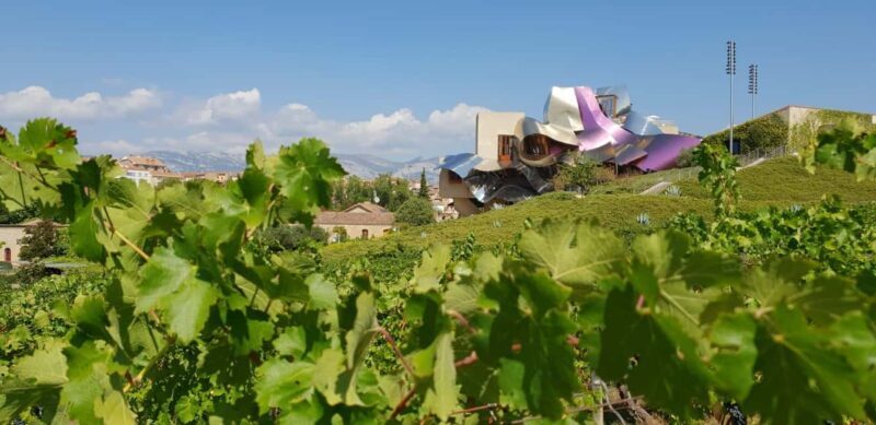 From Bilbao: Private Winery Tour with Wine Tasting & Lunch - Introduction: Why This Tour Stands Out