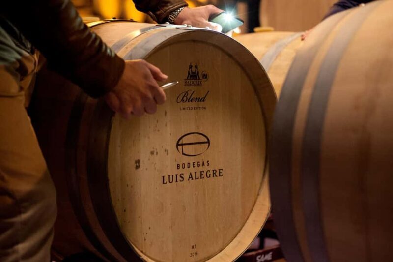 From Bilbao: Private Winery Tour with Wine Tasting & Lunch - The Itinerary Breakdown: A Closer Look