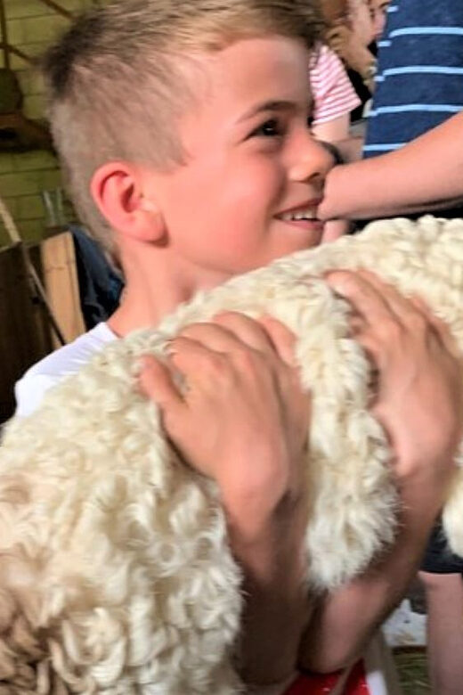 From Bilbao: San Sebastian and Basque Cheese Farm Tour - Key Points