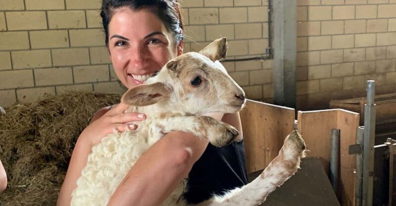 From Bilbao: San Sebastian and Basque Cheese Farm Tour - A Closer Look at the Experience