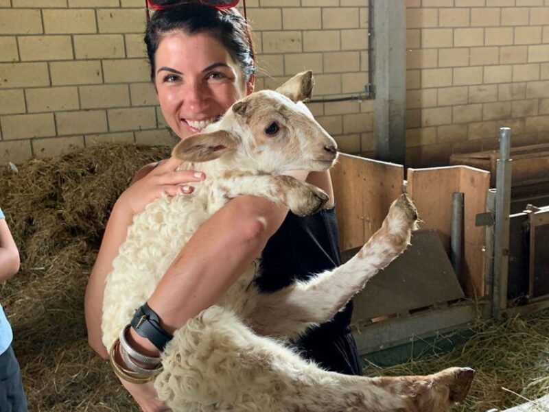 From Bilbao: San Sebastian and Basque Cheese Farm Tour - Who Is This Tour Best For?