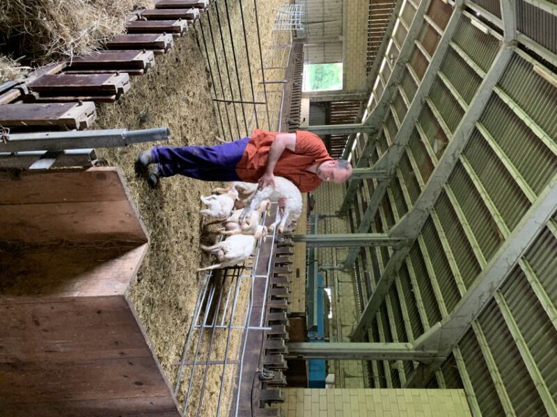 From Bilbao: San Sebastian and Basque Cheese Farm Tour - Final Thoughts